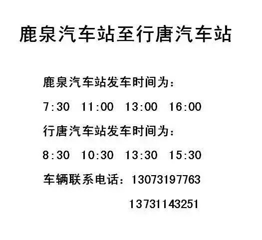 公车连载最新章节一览