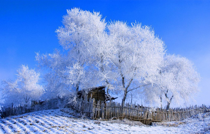 长白山雪韵新篇，冬日画卷再添彩