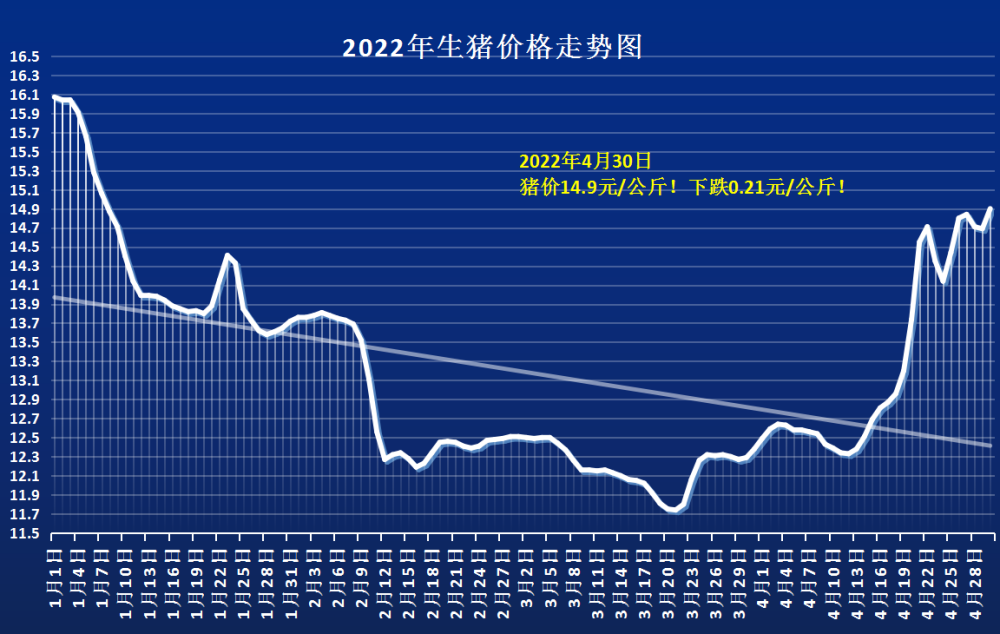 2025年度生猪市场最新行情一览