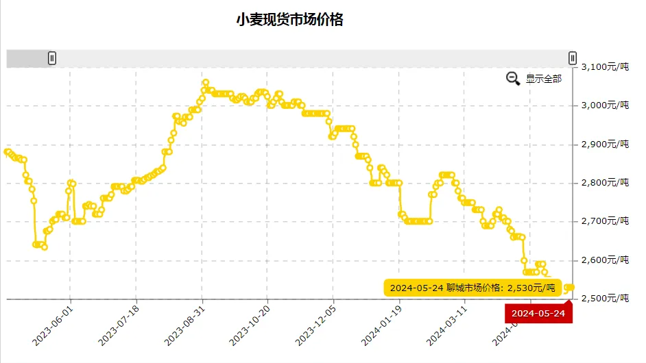 鹤壁市最新小麦市场价格动态一览